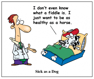 معنی sick as dog